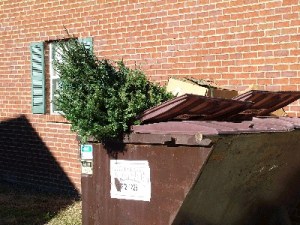 tree-in-trash